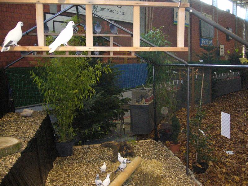 Ortsschau Langenberg 2008 158.jpg - Impressionen der Ortschau Langenberg 2008